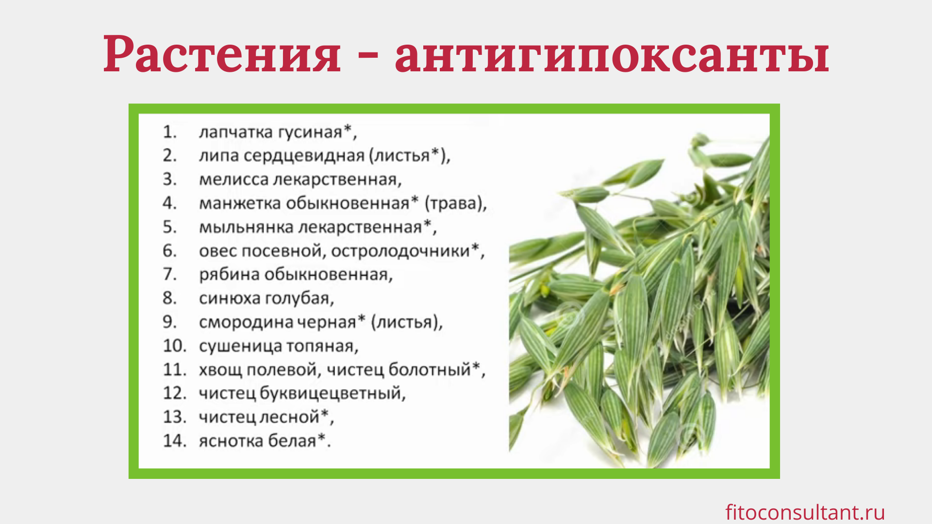 Какое растение программа. Растения антигипоксанты. Травы антигипоксанты список. Антиоксиданты и антигипоксанты. Природные антигипоксанты.